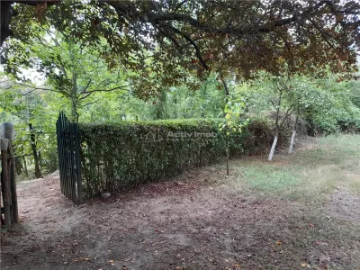 Resita,5561 mp.Teren INTRAVILAN Km.8,la Sosea 10 Euro mp.. - foto 4