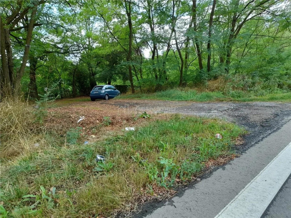 Resita,5561 mp.Teren INTRAVILAN Km.8,la Sosea 10 Euro mp.. - foto 7