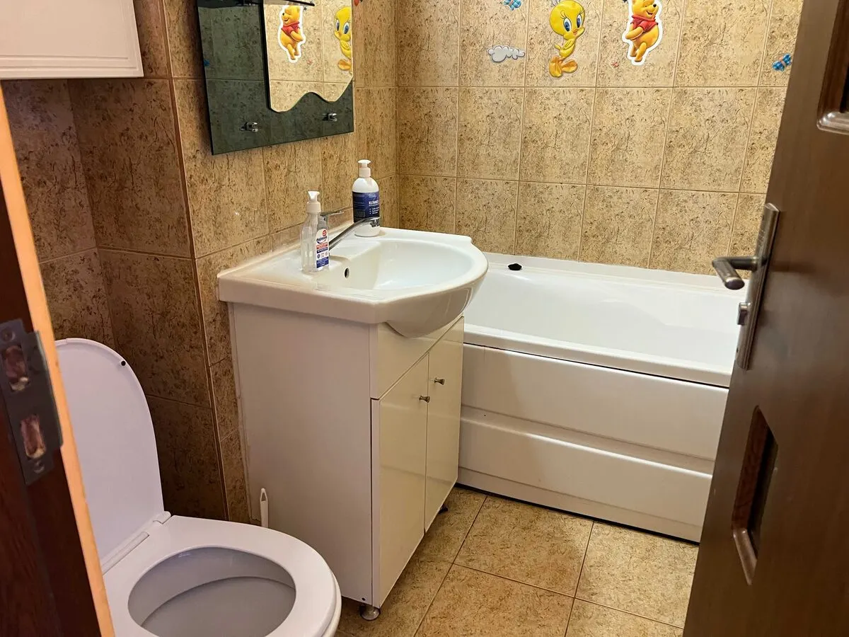 Inchiriez apartament 2 camere Nicolina 1 - foto 5