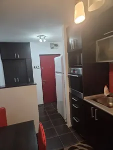 Apartament 2 Camere â€“ Tătărași, Str. Ciurchi | Dog Friendly - foto 7