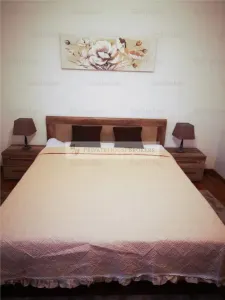 Baneasa - Sisesti | 2 Cocosi | Bloc 2017 | Centrala - foto 5
