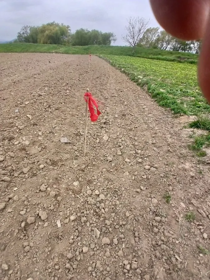 Proprietate cu potential | Casa | curte | gradina | 1658mp | Bungard - foto 1