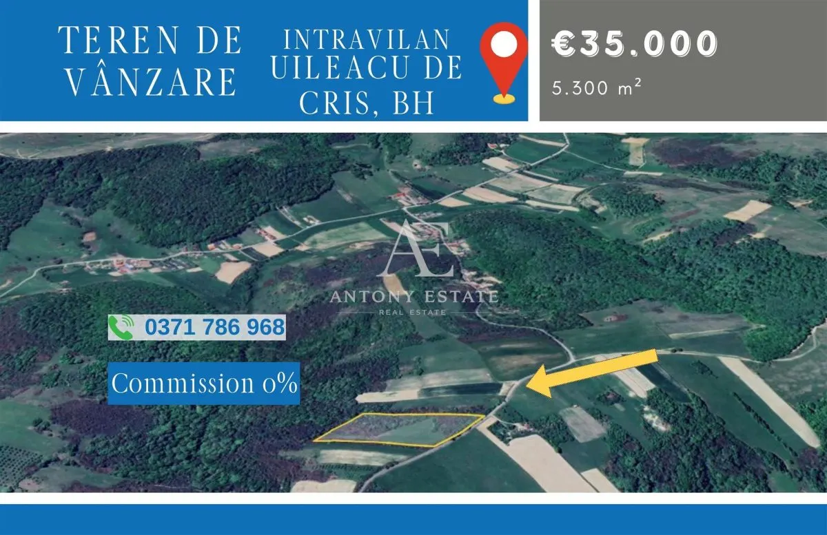 Antony Estate I Teren de vanzare, Uileacu de Cris, Bihor - foto 1