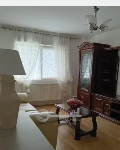 Apartament 2 camere  CUG- SELGROS - foto 4