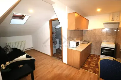 Apartament 2 camere , centrala proprie , zona Mehala - foto 4