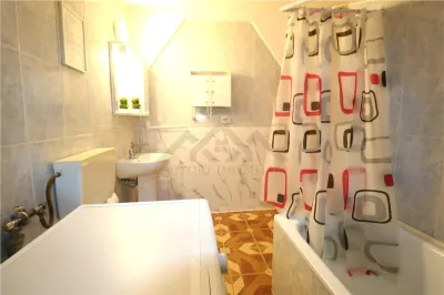 Apartament 2 camere , centrala proprie , zona Mehala - foto 9