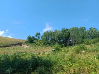 Teren Intravilan in zona Trei Ape, 6889 Mp., 14,5 Euro/Mp., Brebu Nou - foto 11