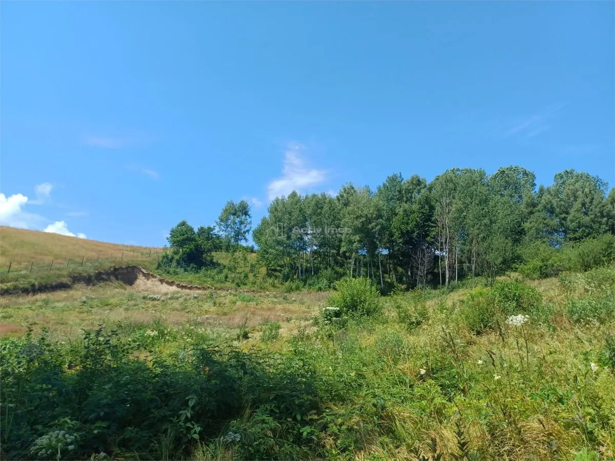 Teren Intravilan in zona Trei Ape, 6889 Mp., 14,5 Euro/Mp., Brebu Nou - foto 11