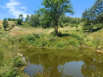 Teren Intravilan in zona Trei Ape, 6889 Mp., 14,5 Euro/Mp., Brebu Nou - foto 12
