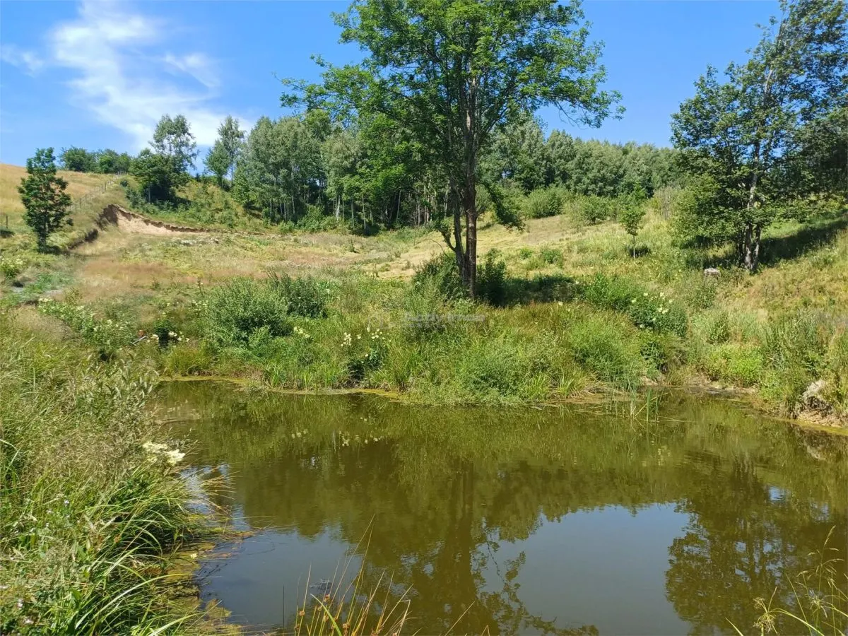 Teren Intravilan in zona Trei Ape, 6889 Mp., 14,5 Euro/Mp., Brebu Nou - foto 12