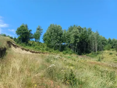 Teren Intravilan in zona Trei Ape, 6889 Mp., 14,5 Euro/Mp., Brebu Nou - foto 14