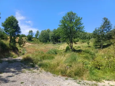 Teren Intravilan in zona Trei Ape, 6889 Mp., 14,5 Euro/Mp., Brebu Nou - foto 4