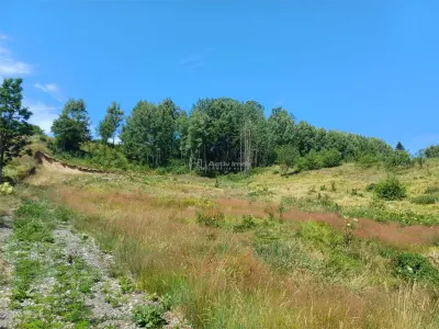 Teren Intravilan in zona Trei Ape, 6889 Mp., 14,5 Euro/Mp., Brebu Nou - foto 5