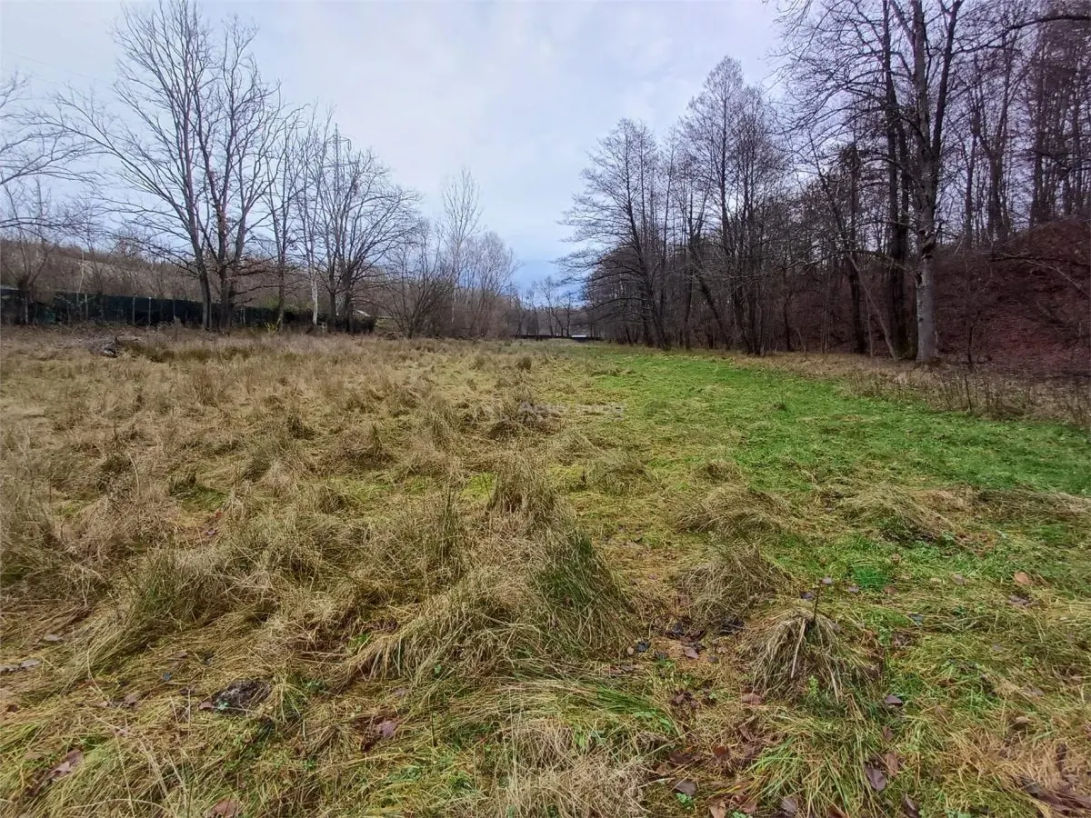 Resita, Teren Drept Intravilan, Langa Prau si Drum, Parcelabil, 4500 Mp., 15 Euro/Mp., Renk - foto 7