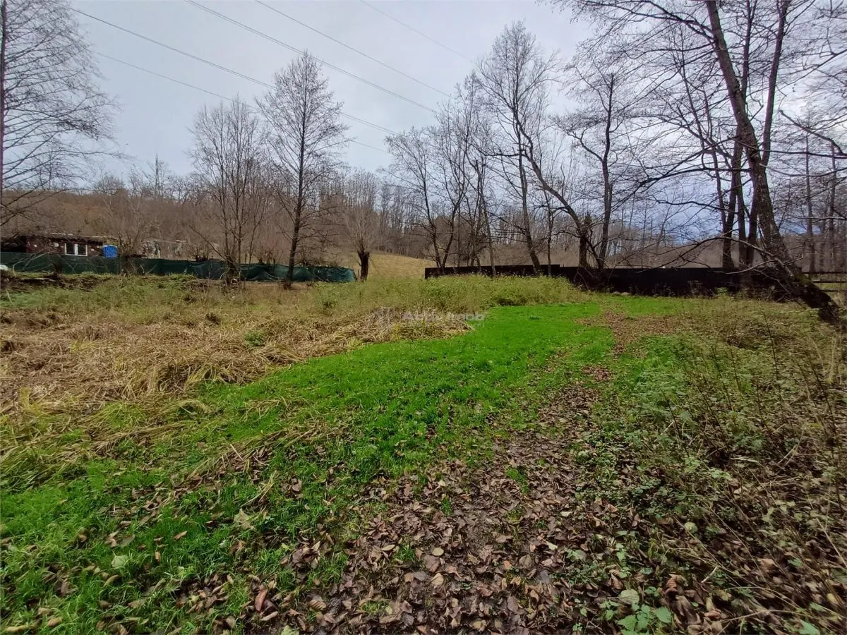 Resita, Teren Drept Intravilan, Langa Prau si Drum, 1308 Mp., 15 Euro/Mp., Renk - foto 15