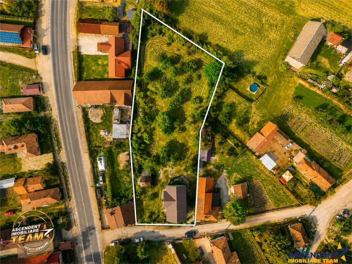 FILM! Casa personalizabila +2.700mp teren,pomi fructiferi,langa Sfantu Gheorghe: Santionlunca - foto 4
