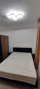 Inchiriere apartament  2 camere zona Mihai Viteazul - foto 3