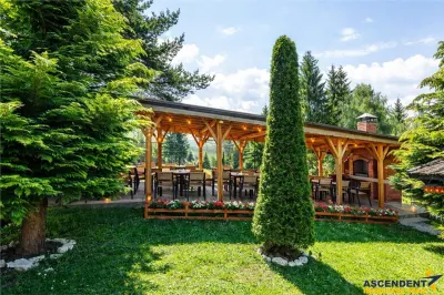 Complex turistic, priveliste deosebita, apa curativa, aer pur, afacere ascendenta, Fundata, Bran, Brasov - foto 10