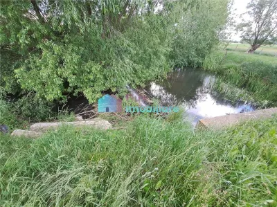 Casa cu teren si iazuri in Fantana Mare - foto 16