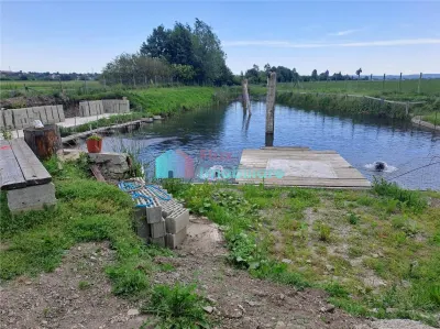 Casa cu teren si iazuri in Fantana Mare - foto 6