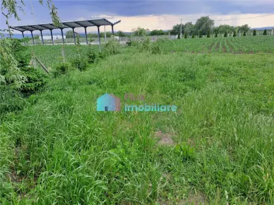 Casa cu teren si iazuri in Fantana Mare - foto 10
