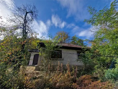 Resita Casa cu Teren privat 4670 Mp. - foto 16