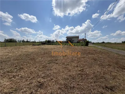 TEREN INTRAVILAN 800 MP | ZONA PALEU | BIHOR - foto 3