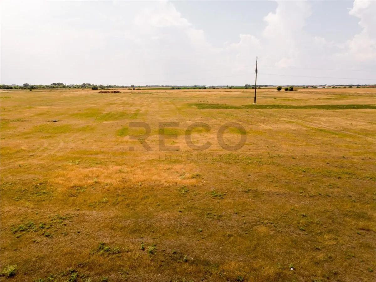 RECO teren extravilan ideal pentru balastiera in Rosiori - foto 13