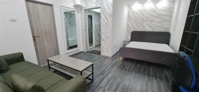 Ap. de lux 1 camera, zona Vlaicu-Fortuna -Mall Agora - Arad