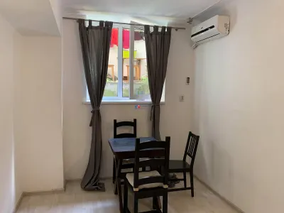 Inchiriere apartament 1 camera in Centru- Opera Maghiara, Cluj Napoca - foto 9