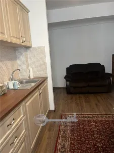Apartament 1 camera Visoianu - 299 euro - foto 8