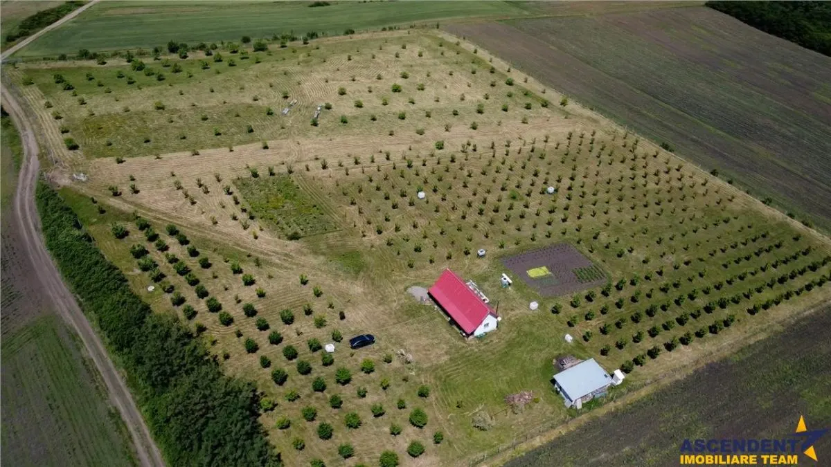 Afacere la cheie, dar si refugiu intr-o oaza de liniste in peisaj pitoresc: 25.624 mp compacte/Moișa, Mureș - foto 2