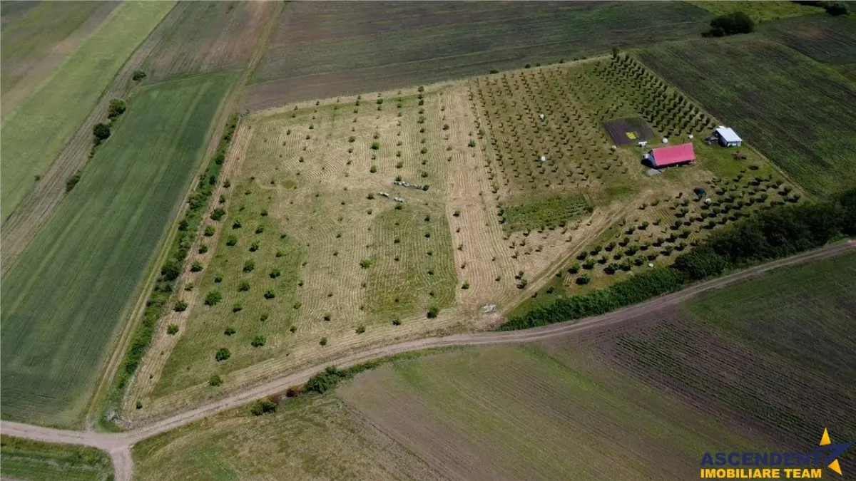 Afacere la cheie, dar si refugiu intr-o oaza de liniste in peisaj pitoresc: 25.624 mp compacte/Moișa, Mureș - foto 4