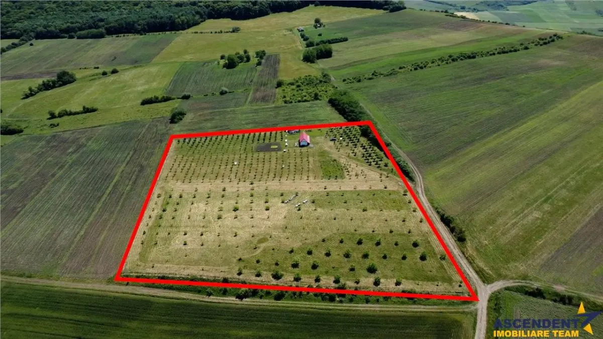 Afacere la cheie, dar si refugiu intr-o oaza de liniste in peisaj pitoresc: 25.624 mp compacte/Moișa, Mureș - foto 5