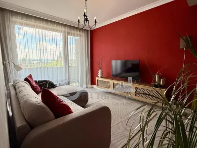 3 Camere Premium | Vedere către Palatul Culturii | Pet Friendly - foto 2