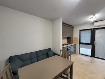 Apartament 2 camere cu terasă - Vilă ultracentral la 50 m de UMF - foto 3