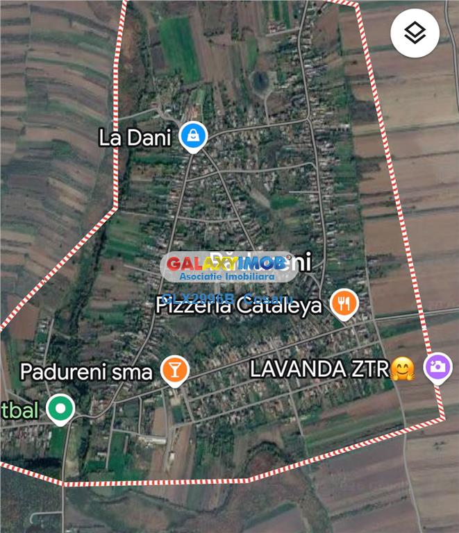 TEREN DE VANZARE BUTURUGENI GIURGIU - foto 12