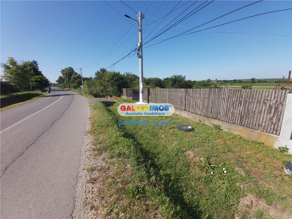 TEREN DE VANZARE BUTURUGENI GIURGIU - foto 8