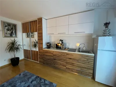 Studio elegant de inchiriat - foto 5