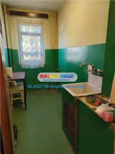 Apatament 2 Camere Decomandat | Drumul Taberei - Raul Doamnei - foto 9