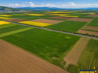 Sectiunea Premium! Teren 47.577 mp, Codlea . Ghimbav, pozitie excelenta la DN 11 - foto 4