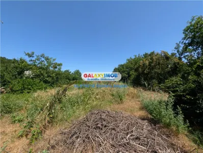 Ilfov,Lipia casă și teren 3000 mp, deschidere 20 ml - foto 15