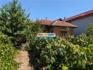 Ilfov,Lipia casă și teren 3000 mp, deschidere 20 ml - foto 16