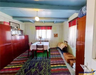 Tur 3D! Casa traditionala+ domeniu de 4.300 mp,livada,anexe:refugiu apreciabil Craiesti, la 28 km de Targu Mures - foto 14
