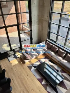 DUPLEX 4 CAMERE LUX FLOREASCA LAC - foto 6