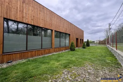 Hala productie premium+pachet afacere, domeniu de 4.700 mp teren,Solovastru, Mures - foto 3