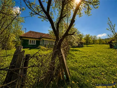 Domeniu de 3.400 mp cu traditionala casa, Suveica, Acatari Mures - foto 6