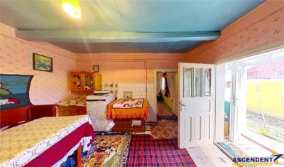 4.300 mp teren, pomicultura +casa traditionala, anexe, Craiesti, Mures - foto 12