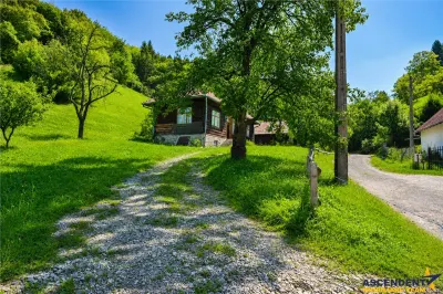 FILM! Casa traditionala pe domeniu de 4.300mp teren, Bran - Simon, Brasov - foto 11