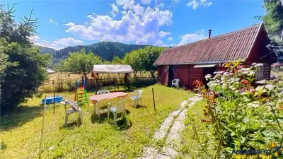 3D&FILM! Refugiu de vacanta, in pitorescul cadru: Lunca Bradului, Mures. - foto 22